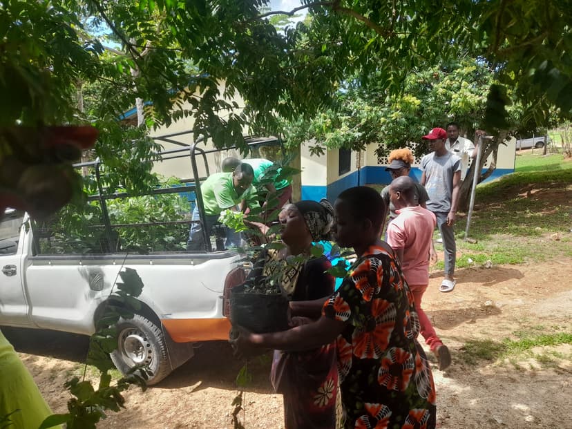 Urban Tree Planting Initiative: Nairobi